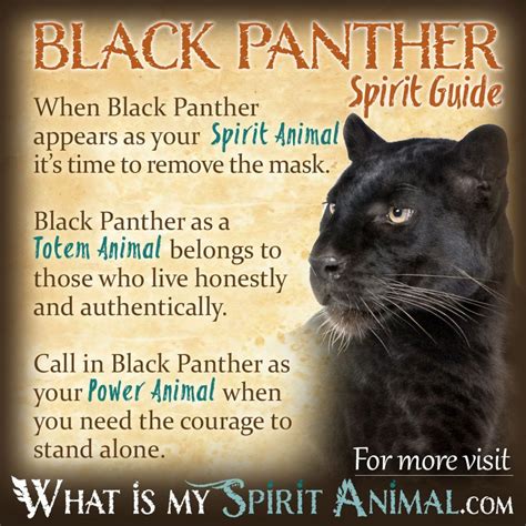 The Significance of Black Panthers in Indigenous Cultures