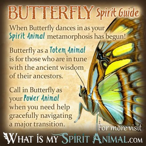 The Significance of Butterflies in Native American Spirituality