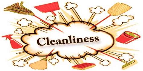 The Significance of Cleanliness and Organization in Dream Analysis
