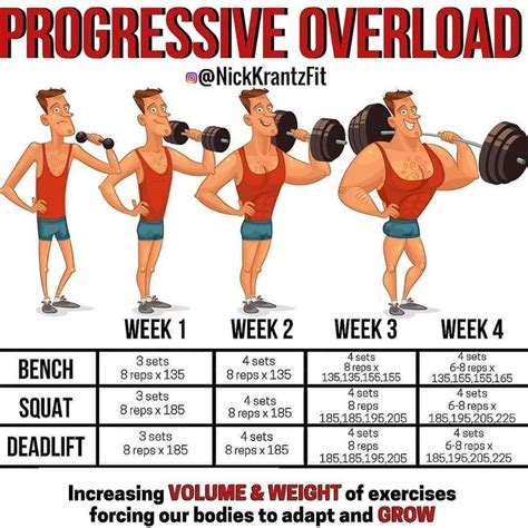 The Significance of Consistent Training and Progressive Overload