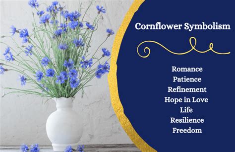 The Significance of Corn Flower in Symbolic Representations