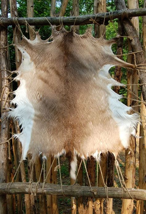 The Significance of Deer Hide in Indigenous Cultures