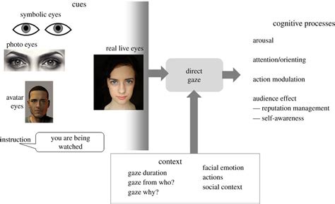 The Significance of Direct Gaze in Effective Communication