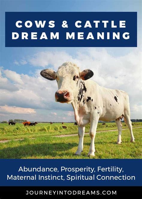 The Significance of Dreaming about Bovines