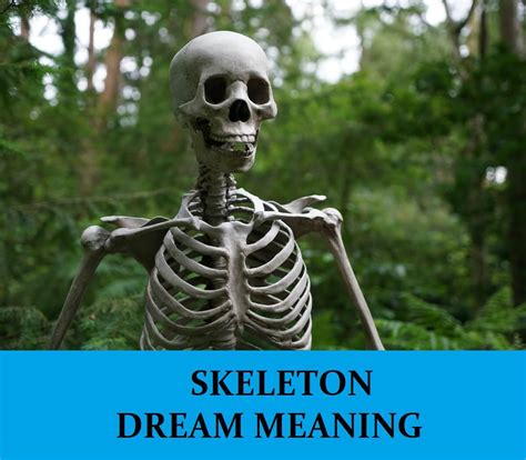 The Significance of Dreaming about Fractured Skeletons