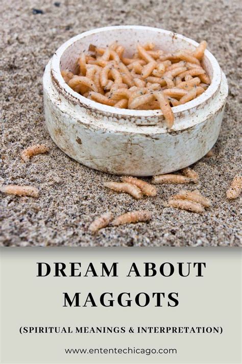 The Significance of Dreaming about Maggots