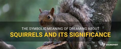 The Significance of Dreaming about an Ailing Squirrel