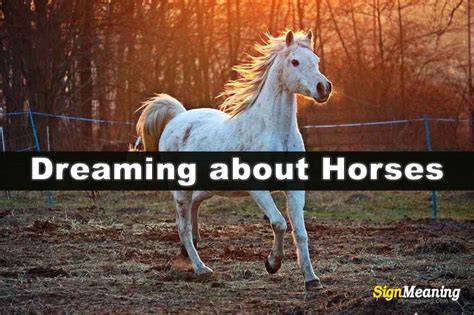 The Significance of Dreaming about an Exhausted Equine