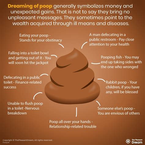 The Significance of Dreams Involving Excrement