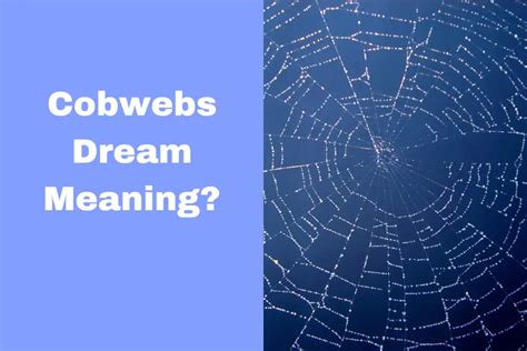 The Significance of Dreams in Unveiling Our Innermost Beliefs