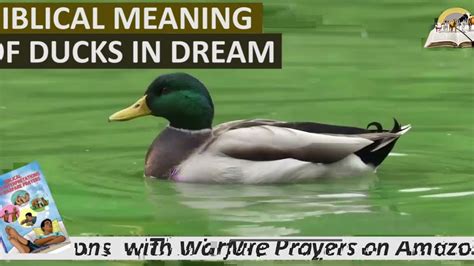 The Significance of Ducks in Dreams: Exploring the Transformative Path of Self-Discovery