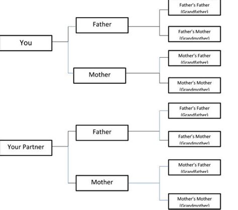 The Significance of Genealogy: Tracing My Ancestral Lineage to Reveal the Hidden Chapter