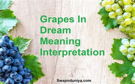 The Significance of Grapes in Dreams According to Ancient Greek and Roman Beliefs