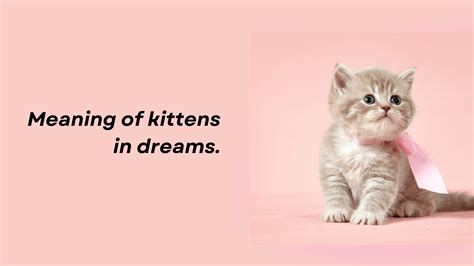 The Significance of Kittens in Dreams during Pregnancy