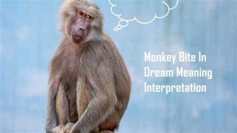 The Significance of Monkey Bites in Dreams