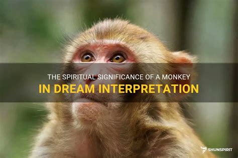 The Significance of Monkeys in Interpreting Dreams