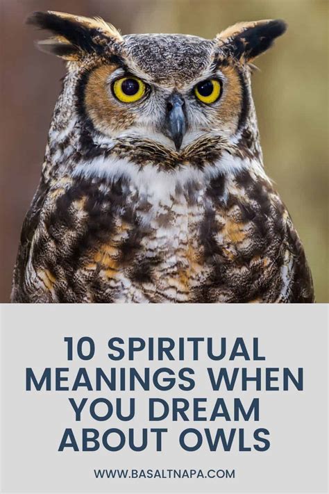 The Significance of Owls in Dream Interpretation