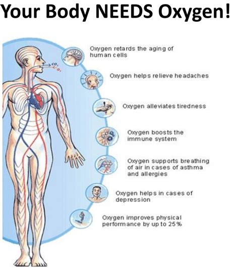 The Significance of Oxygen in Rest