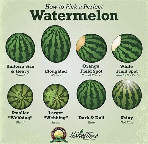 The Significance of Purchasing Melons in Season