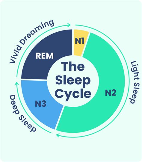 The Significance of REM Sleep in the Formation of Dreams