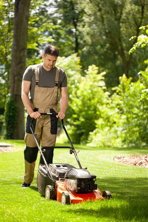 The Significance of Regular Yard Maintenance