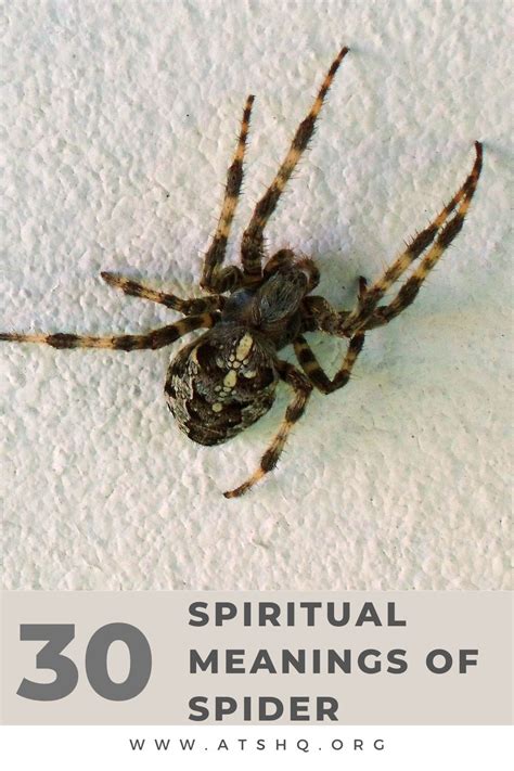 The Significance of Spider Symbolism: Weaving Dreams and Realities