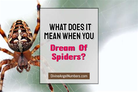 The Significance of Spiders in Dreams
