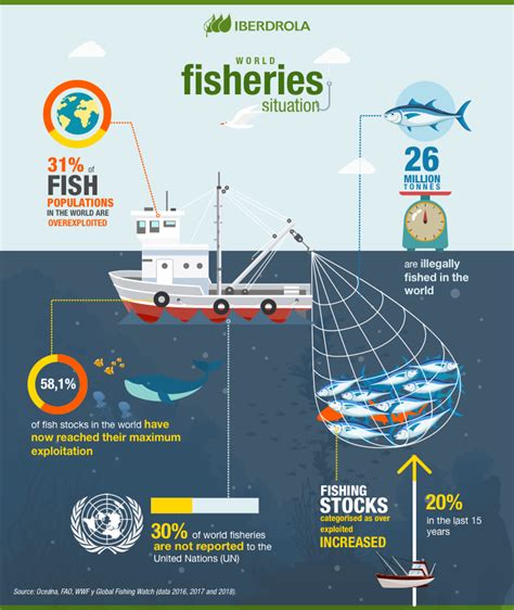 The Significance of Sustainable Fishing Methods