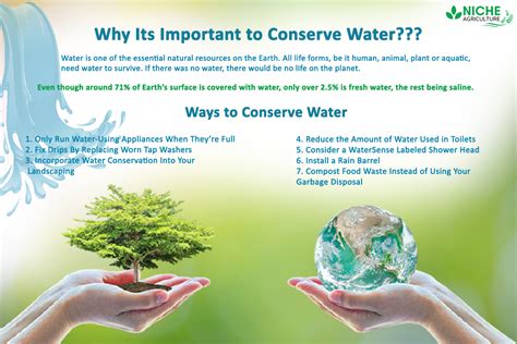 The Significance of Water Preservation