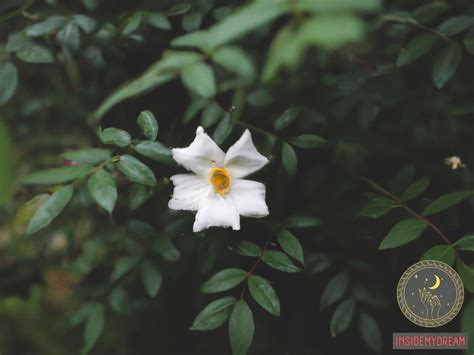 The Significance of White Blossoms in Dream Psychology and Analysis