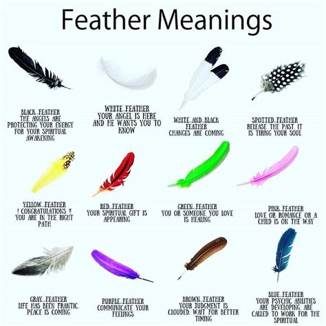 The Significance of White Feathers in Analyzing Dreams