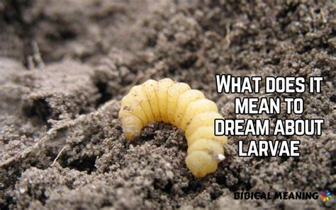 The Significance of White Larvae in Dream Psychology