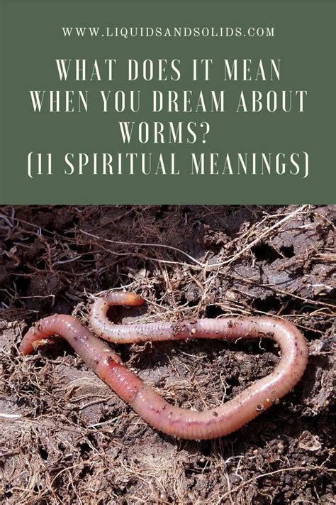 The Significance of Worms in Dreams