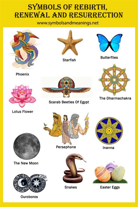 The Significance of Worms in Symbolizing Transformation and Rebirth