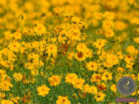 The Significance of Yellow: Decoding the Symbolism of Color in Dreams about Tennis Balls