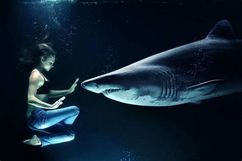 The Significance of a Shark Consuming an Individual within a Dream