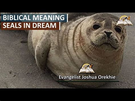 The Significance of a Wounded Seal in Dreams