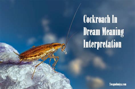 The Significance of the Cockroach Presence as a Symbol in Dreams
