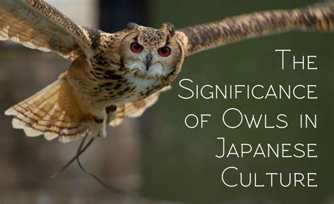 The Significance of the Magnificent Owl in Various Cultures