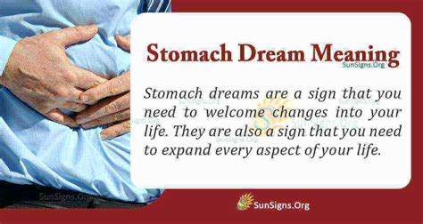 The Significance of the Stomach as a Symbolic Center in Deciphering Dream Messages