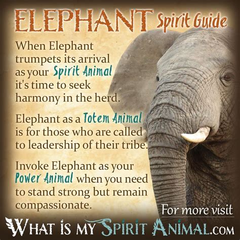 The Spiritual Connection: Elephants as Sacred Symbols