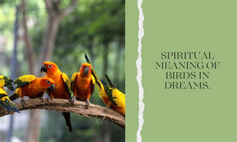 The Spiritual Significance of Birds in Dreams