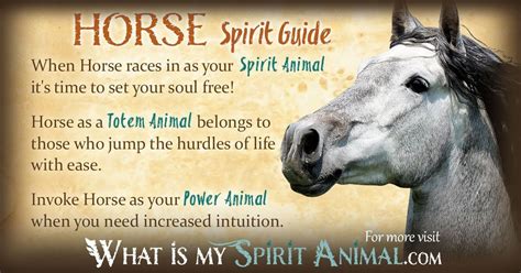 The Spiritual Significance of Dreams about Equine Creatures