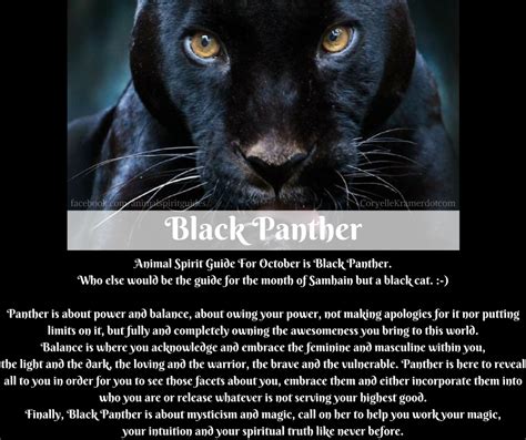 The Spiritual Significance of the Mysterious Dark Panther: Decoding Its Meaning