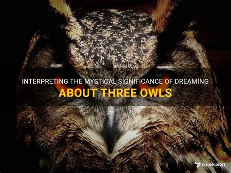 The Spiritual and Mystical Significance of Dreaming about Owls