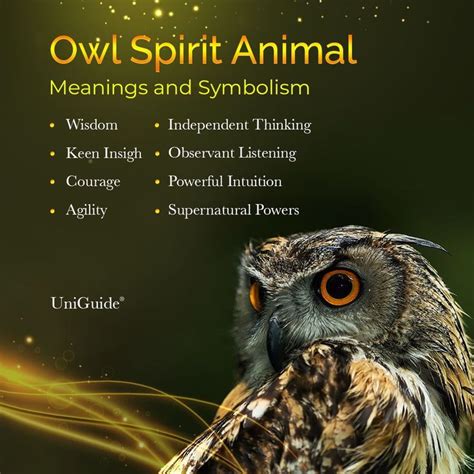The Symbolic Importance of Owls in Various Cultures
