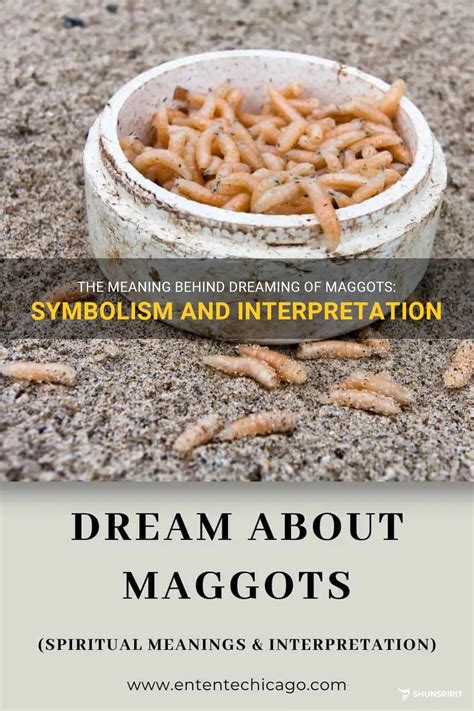 The Symbolic Meaning Behind Dreams About Maggot Growth