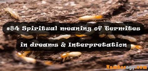 The Symbolic Meaning Behind the Appearance of Pale Termites in One's Dreams