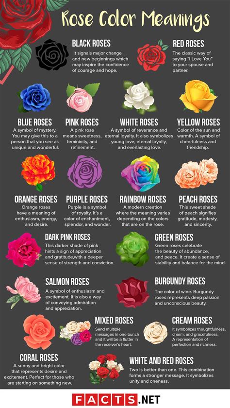 The Symbolic Meaning of Colors in Dream Flowers