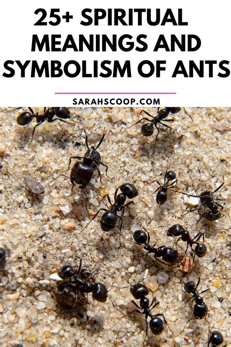 The Symbolic Meaning of Crimson Ants Inside Your Residence